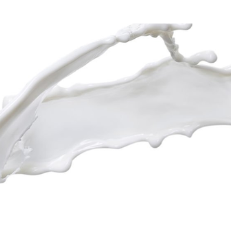 Produit Mozarella FFP